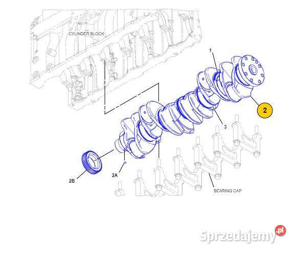 Caterpillar Cat C9 wał korbowy 2611544 2611544 Jastrzębniki