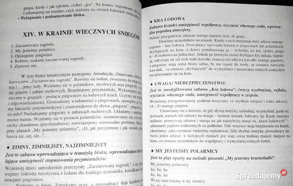 Uczymy się bawiąc kl 2 Lucyna Bzowska Renata Chełm sprzedam