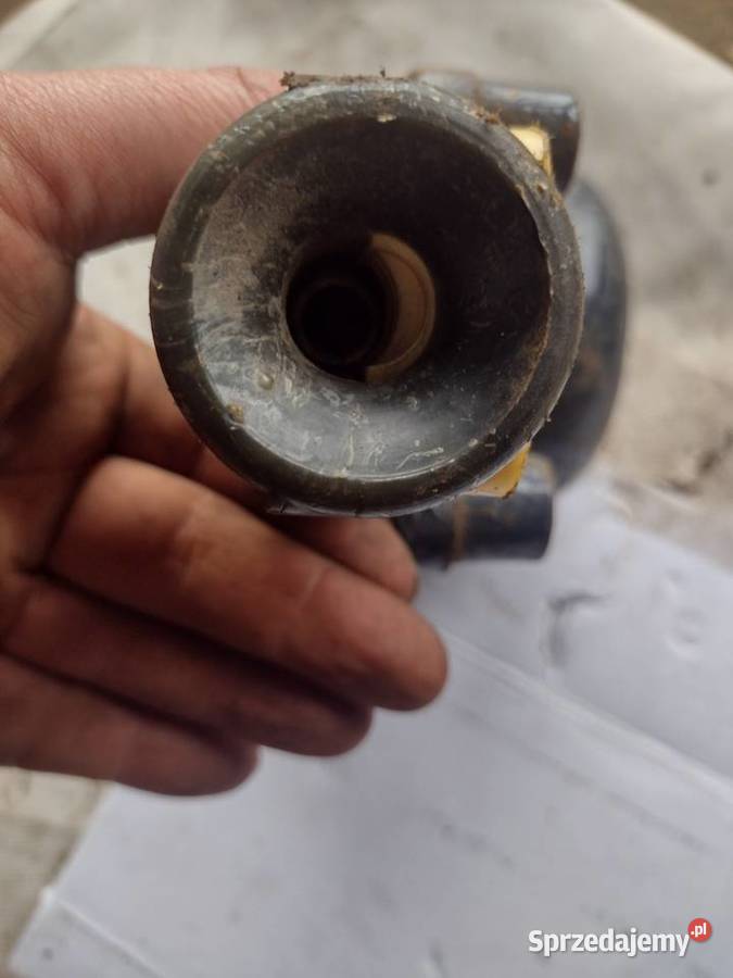 Dzwonek grzechotkowy Gołcza sprzedam