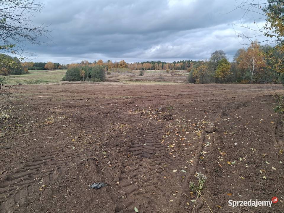 WęgliskaDziałka budowlanaWarunki zabudowy 87ar 8700m2 Węgliska