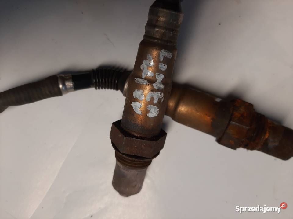 Fiat Linea Albea 14 8V sonda lambda sprzedam
