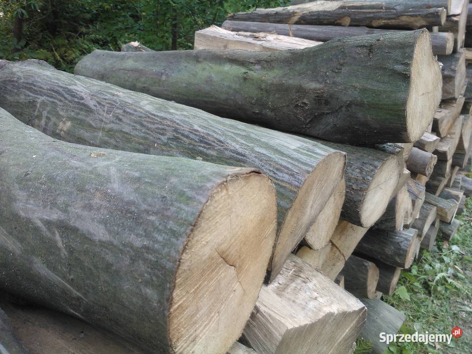 Drewno opałowe BUK GRAB drewno kominkowe drewno Ogrzewanie Krosno sprzedam