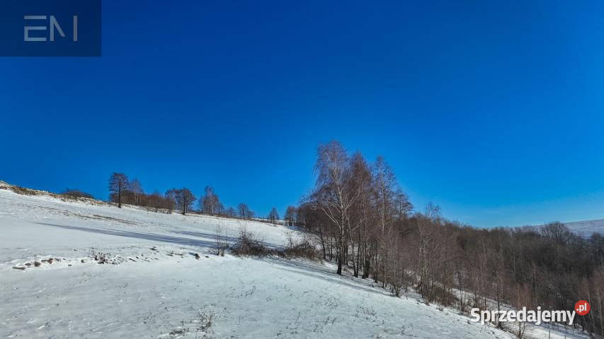 Działka Jaszczurowa 5300 metrów