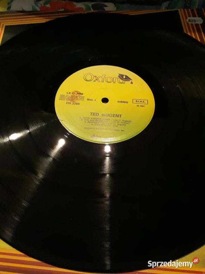 TED NUGENT Amb The Amboy Dukes Rzeszów
