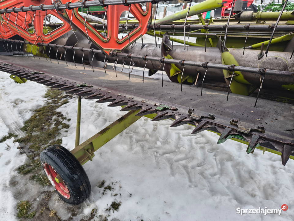 Stół do rzepaku Claas C 390 sprzedam