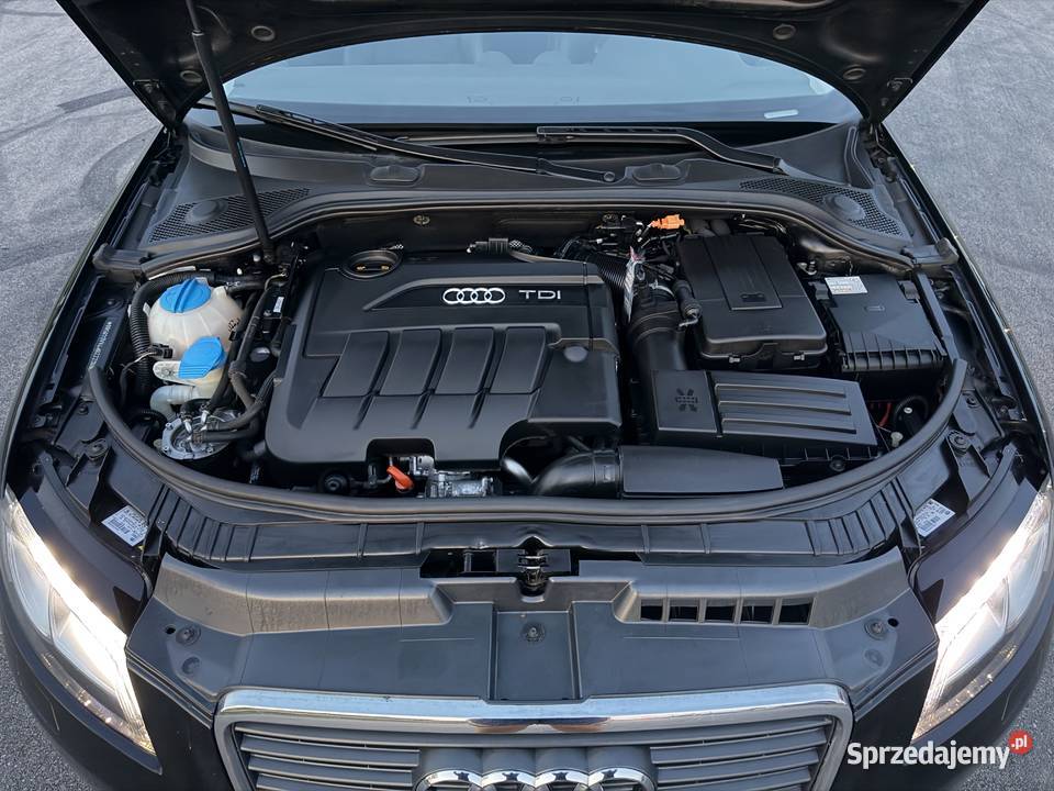 AUDI A3 8P Sportback 2009r 20 TDI 140 Automat nieuszkodzony Jedlińsk sprzedam