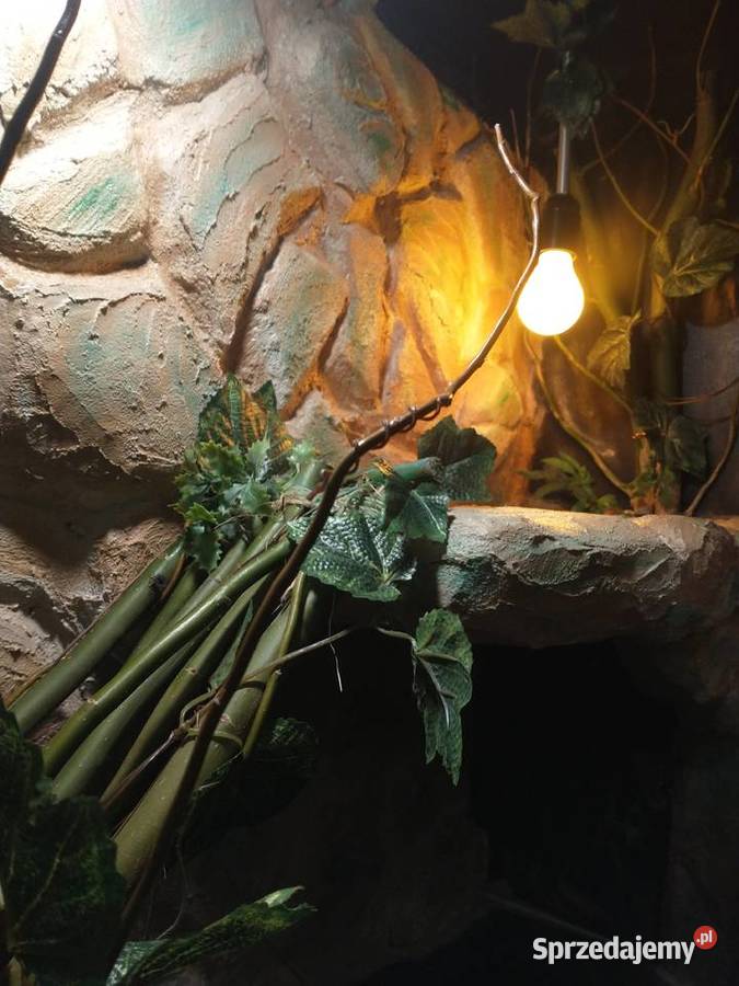 Terrarium paludarium na każdą kieszeń podkarpackie Jarosław