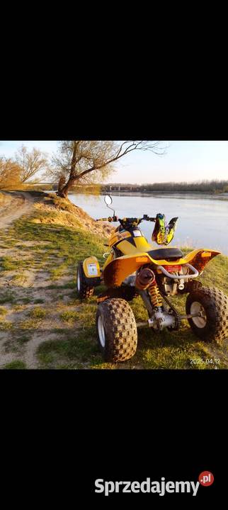 Bombardier Ds650 rotax can am
