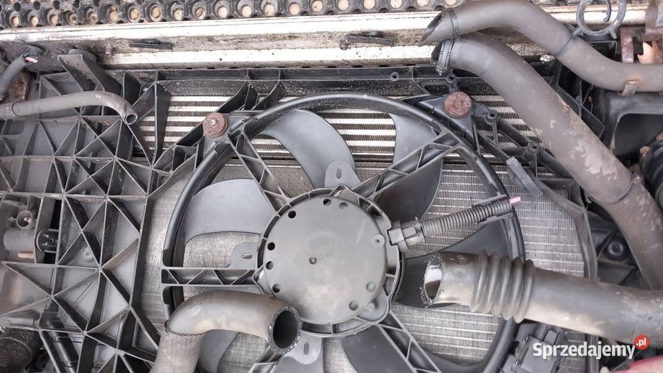 RENAULT MEGANE III 15DCI PAS PRZEDNI KOMPLET NNJ wielkopolskie Zbierkowo