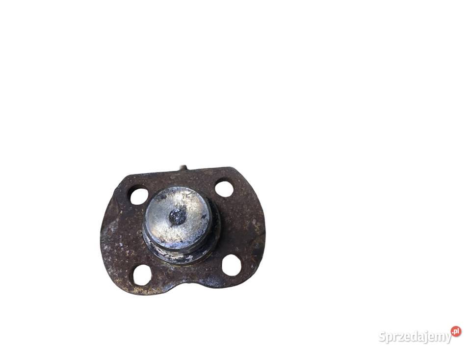 SWORZEŃ CZOP GÓRNY 6000103502 RE128904 RE57471 Łódź sprzedam