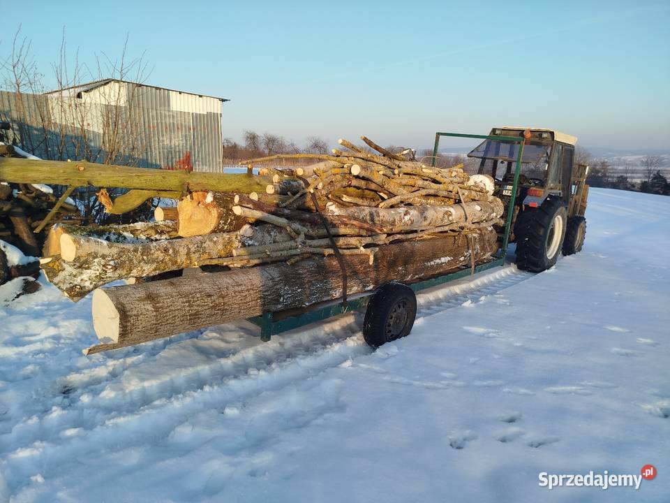 Drewno opałowe osica sosna brzoza Słupia Nadbrzeżna
