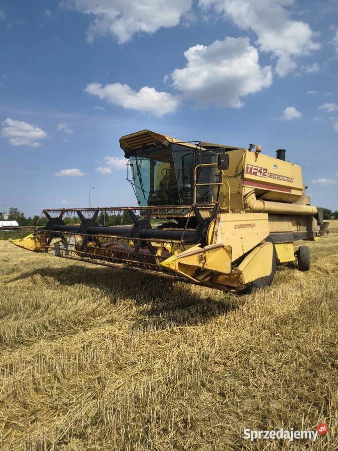 Holland tf 42 plus hedre do kukurydzy Czystochleb