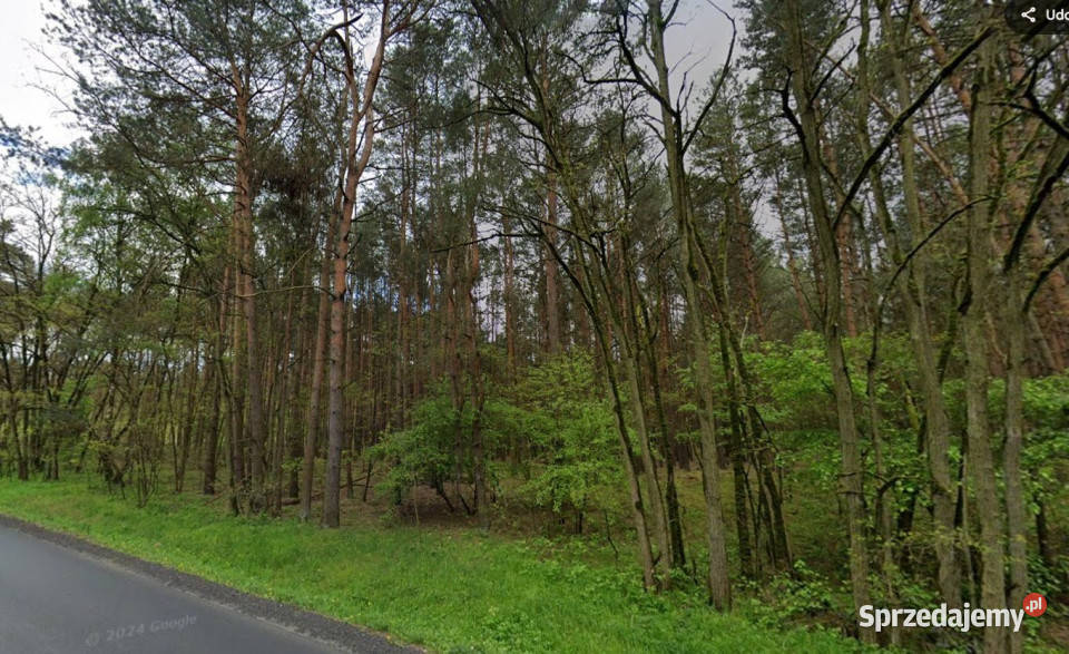 sprzedaży działki Stoczki 21440m2 leśna