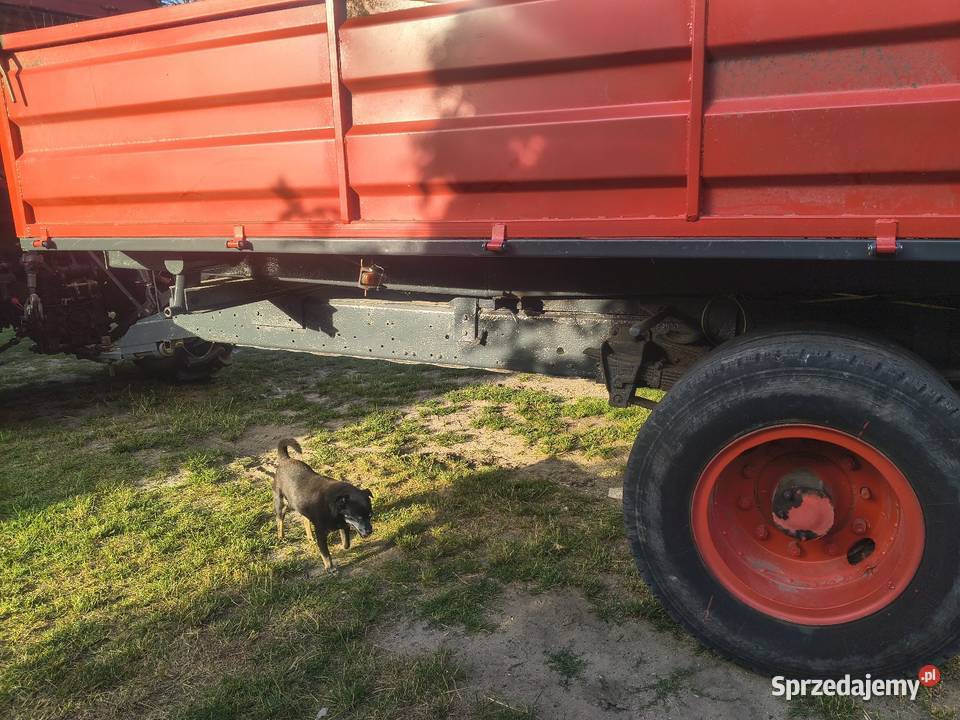Przyczepa wywrotka 3 stronna Przyczepy rolnicze Pińczów sprzedam