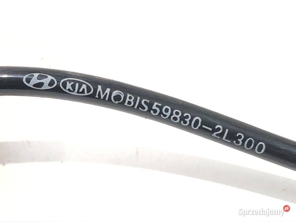 CZUJNIK ABS PRAWY PRZÓD HYUNDAI i30 598302L300 sprzedam