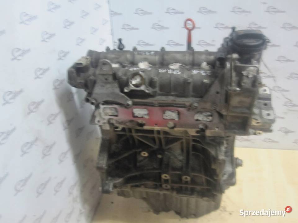 GOLF PLUS 08r 16 BLF 114 172 silnik osobowe świętokrzyskie Kielce sprzedam