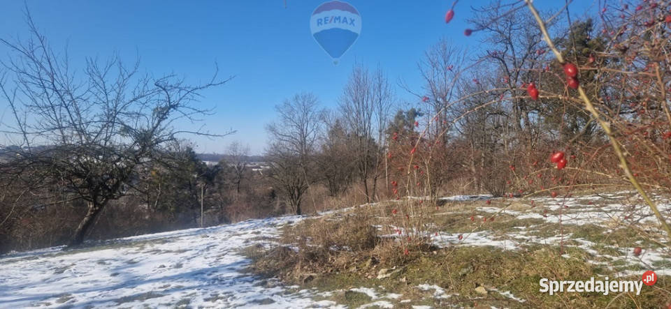 Działka na wzgórzu pod dużą inwestycję 0m Jasienica