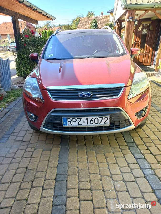 Ford kuga Studzian