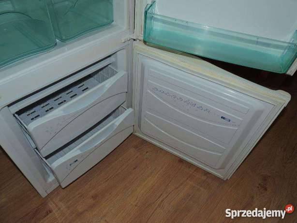 Tania Lodówka Polar CZN306 Lodówki i zamrażarki Kielce