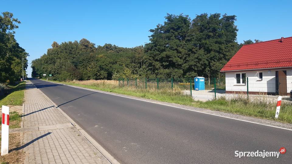 Działka budowlana 2900m2 park las Naroczyce
