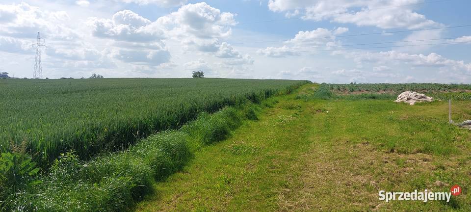 Działka rolna 63ar rolna Kraków