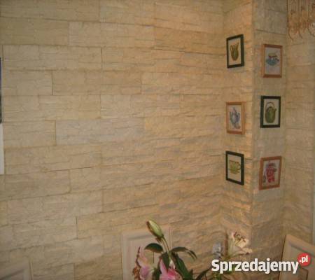 Kamień dekoracyjny Płytki gipsowe Biały kolor Góra