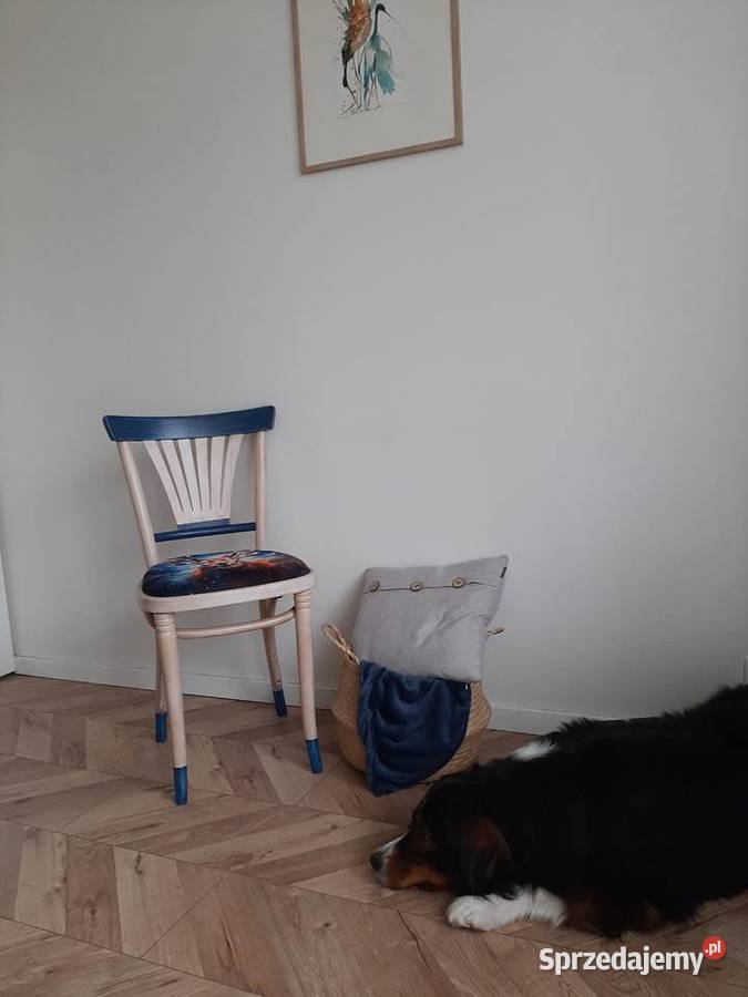 Krzesło renowacji