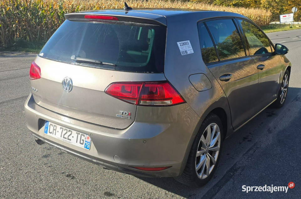 Volkswagen Golf Sutomat 160000 VII 2012 ASR (kontrola trakcji) Pleszew