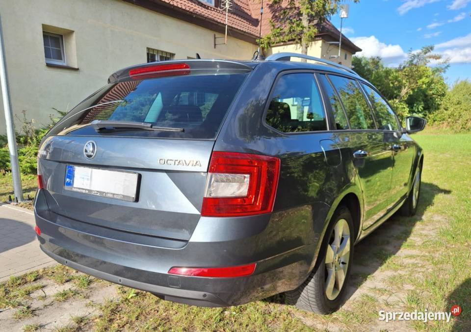 Tanio octawia Octavia wielkopolskie Łubowo