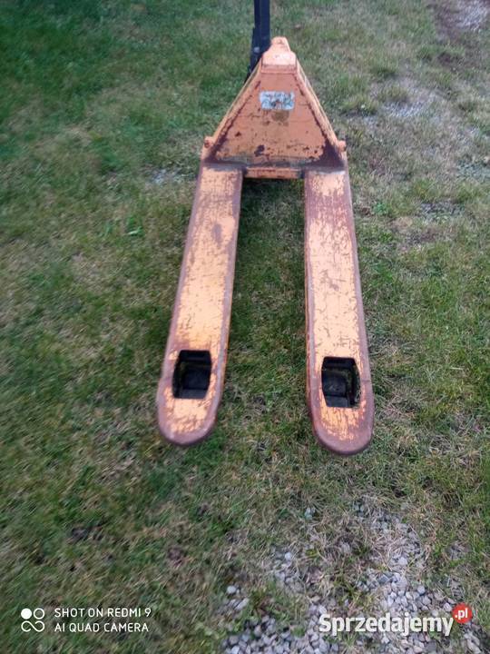 Paleciak Pozostałe Babin