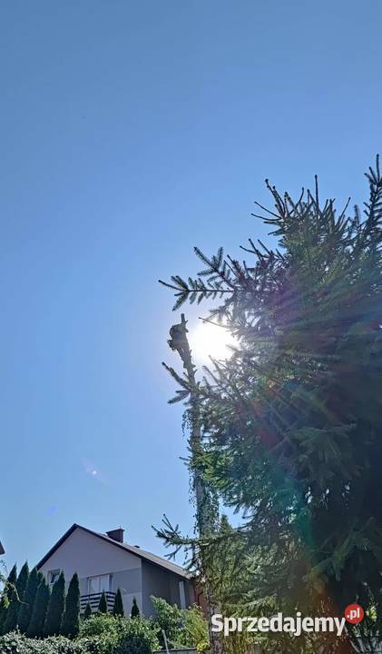 Pilarzdrwal wycinki alpinistyczne Garbatka-Letnisko