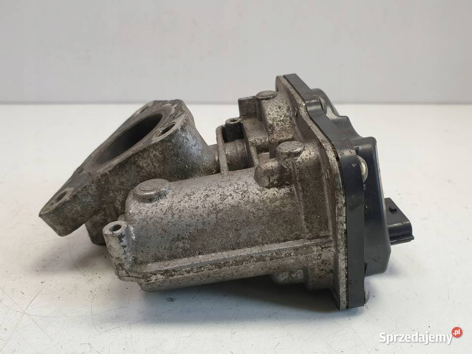 Renault Kangoo III 15 DCI ZAWÓR EGR H8201143495 Rudka