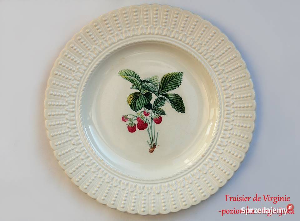 Talerze botaniczne vintage Royal Cauldon Anglia lubelskie Lublin