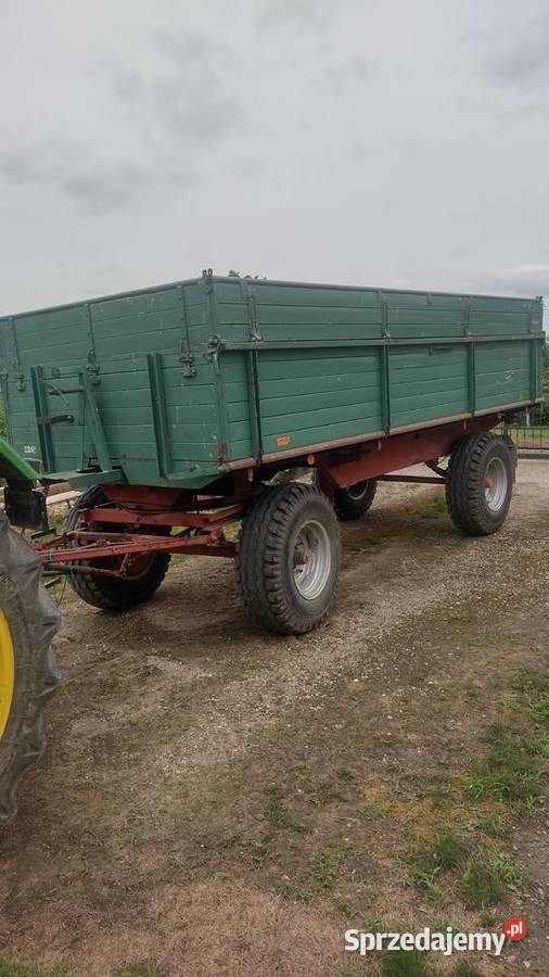 Przyczepa maack 8t Babice