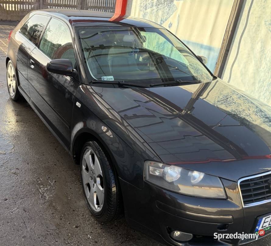 Audi A3 8P 20Benzyna 2003 stan bez rdzy 2000cm3 Zgierz