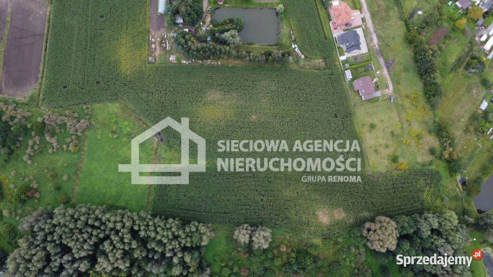 Działka Pszczółki 11570m utwardzona