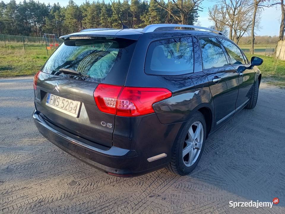 Citroen C5 20 HDI 2009R szary Sulechów