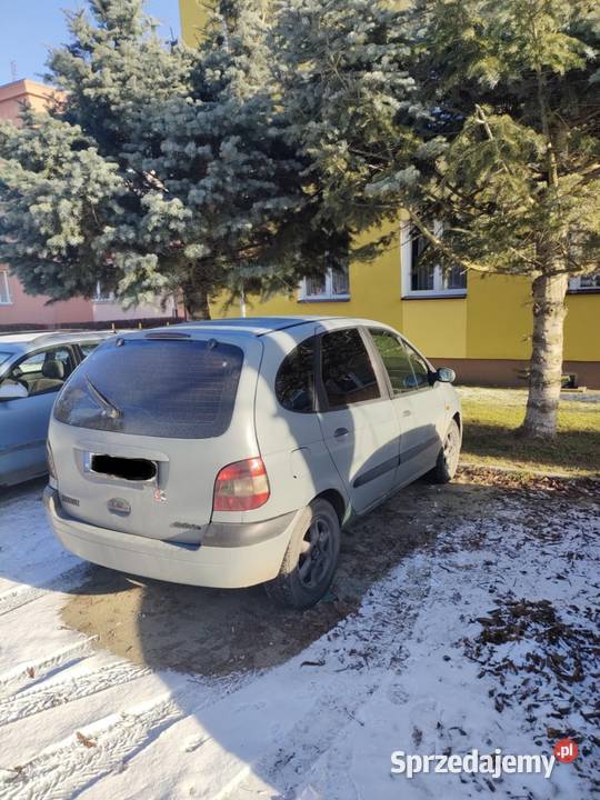 Renault Scenic 16 16V przyciemniane szyby Scenic Brzeg Dolny sprzedam