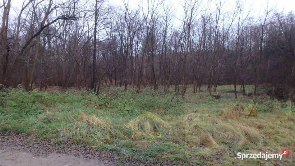 Działka w Otwocku Sprzedaż Otwock