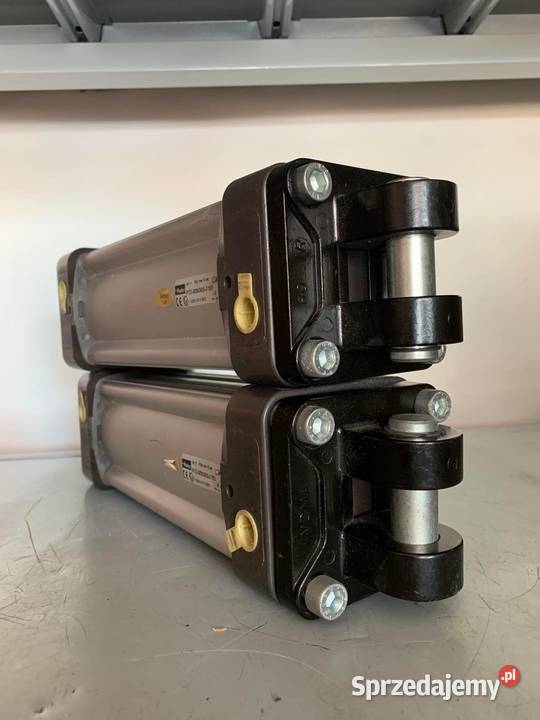 Parker P1DS080MS0160 Pneumatic cylinder sprzedam