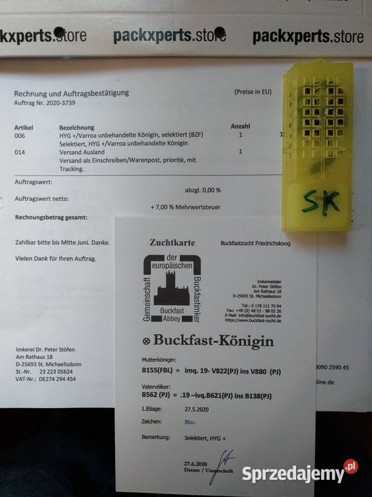 Odkłady pszczele pszczoły ramka WLP matki Pszczelarstwo Warszawa