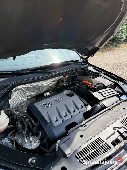 Volkswagen Tiguan 20 TDI 4Mot SportStyle DSG automatyczna Wężyki