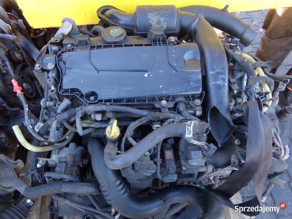 TRAFIC VIVARO PRIMASTAR 20 DCI 14r sprezarka osobowe świętokrzyskie Suków