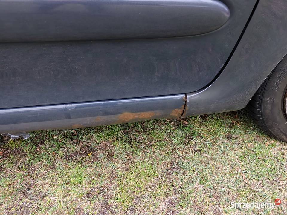 Citron Xsara Picasso sprzedam