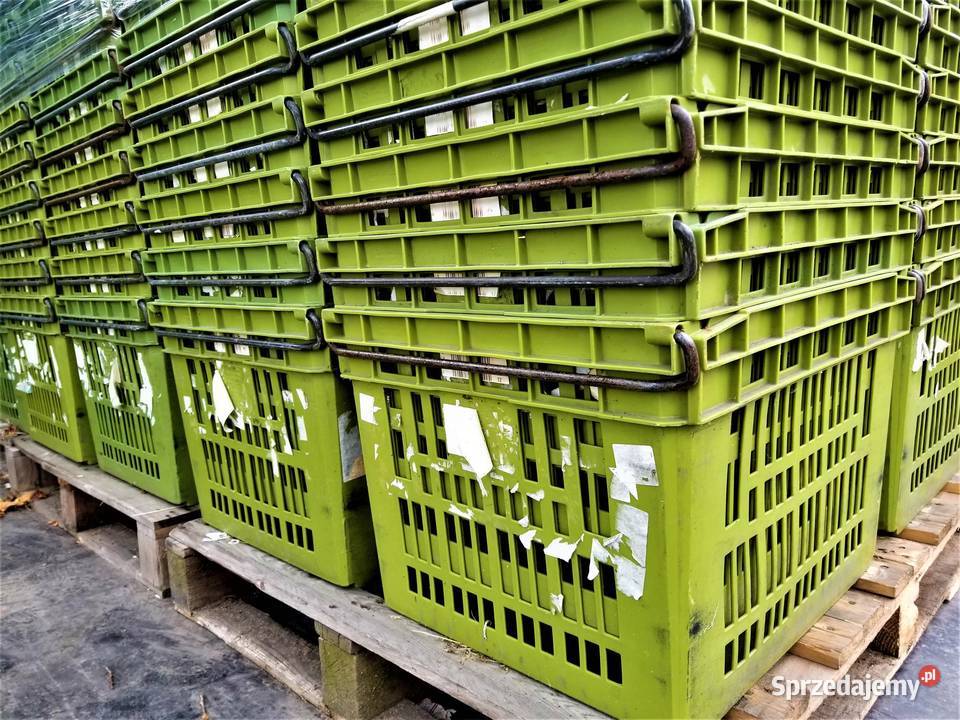 Pojemnik 60x50x40 Skrzynka Kuweta Box Kosz dolnośląskie Dzierżoniów