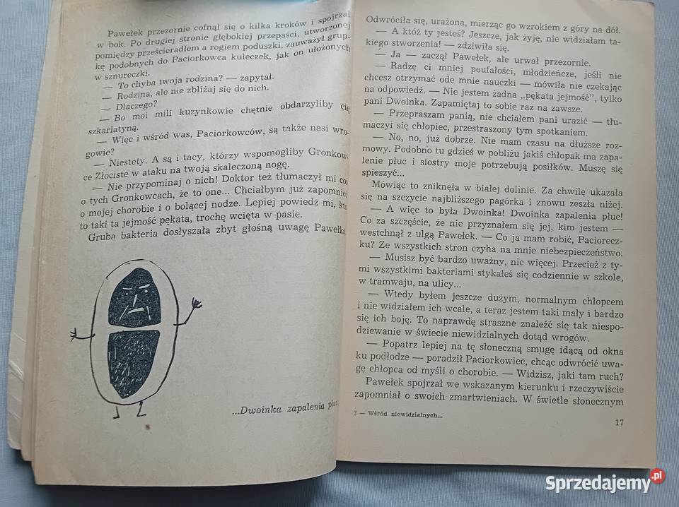 Hanna Zdzitowiecka Wśród niewidzialnych wrogów i Koźminek