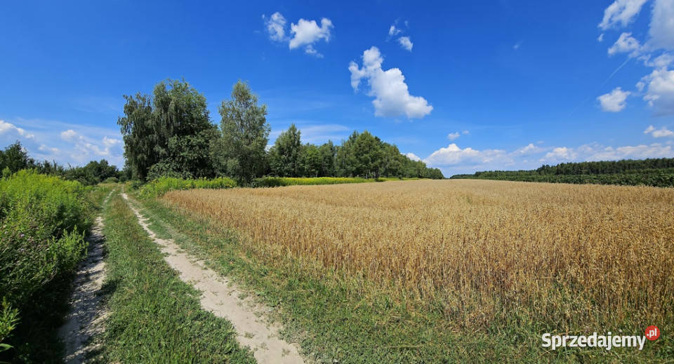Karczmiska Drugie ponad 33ar działki rolnej polna
