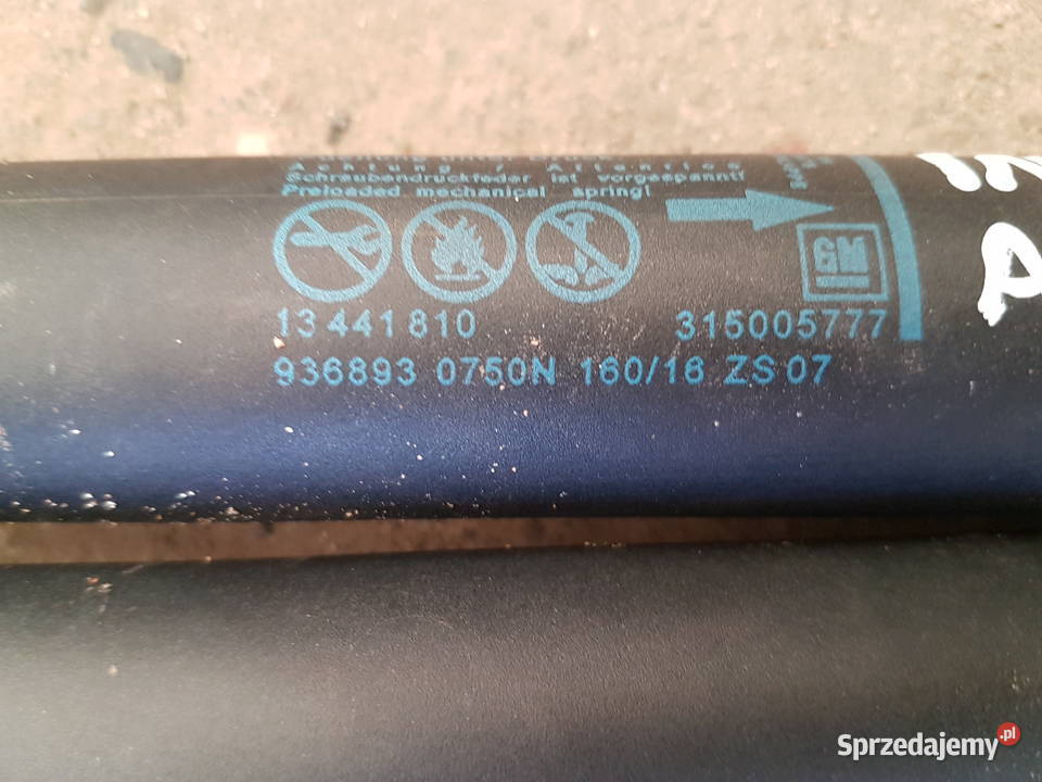 OPEL INSIGNIA LIFT AMORTYZATOR TYLNEJ KLAPY Siłowniki Turkowice