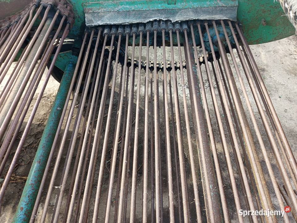 Kopaczka elewatorowa do ziemniaków chrzanu Szynkielów