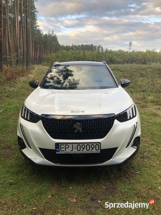 Peugeot 2008 Polski salon pierwszy właściciel ESP łódzkie Lipnik